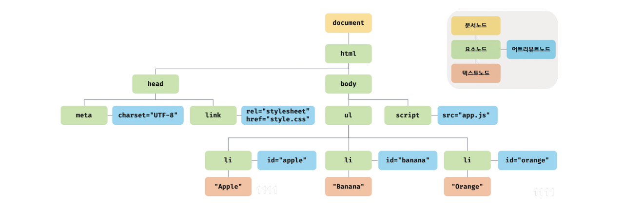 DOM(출처:모던자바스크립트 Deep Dive)